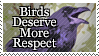 Birds deserve more respect